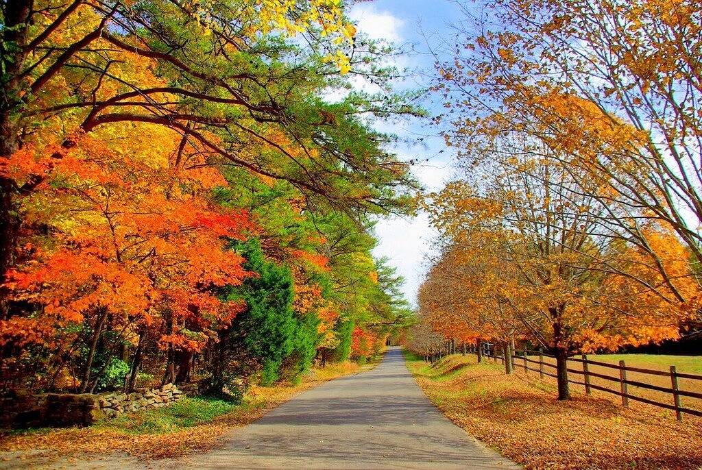Greeter Falls Lodge Cottage #7 in Altamont (TN), Grundy County