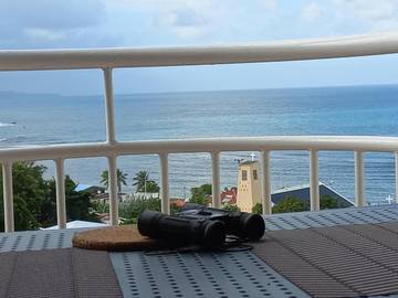 Gîte pour 3 personnes, avec piscine ainsi que jardin et vue dans Anse de Tartane