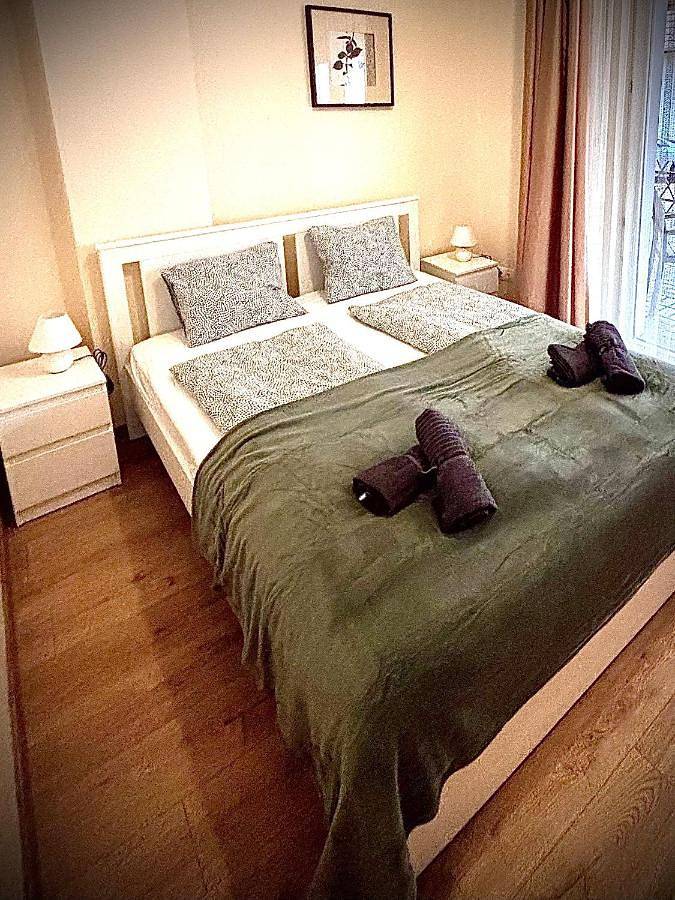 Chambre d’hôte pour 2 personnes, avec terrasse à Vecsés - 2