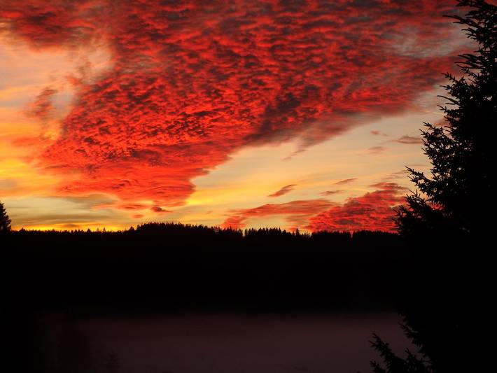 Ferienhaus für 2 Personen, mit Balkon und Garten in Landkreis Freyung-Grafenau - 3