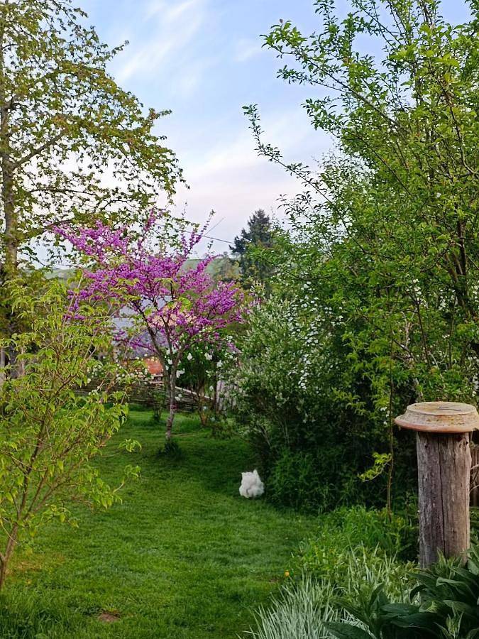 Gîte pour 2 personnes, avec terrasse et vue ainsi que jardin et piscine à Lubersac - 2