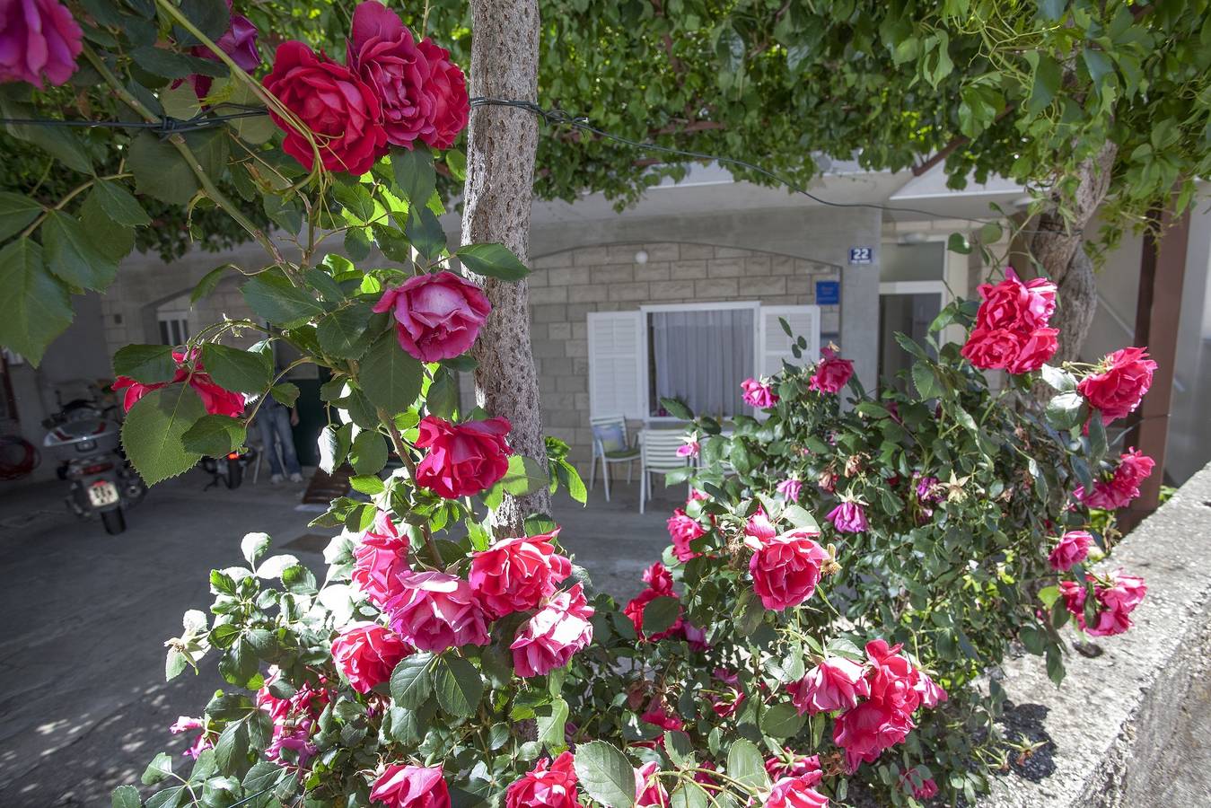 Ganze Wohnung, Studio Appartement mit Klima Tucepi, Makarska As-11486-a in Tucepi, Makarska Riviera