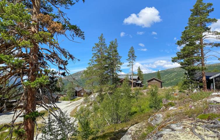 Ferienhaus für 8 Personen mit Terrasse in Bjorli, Lesja