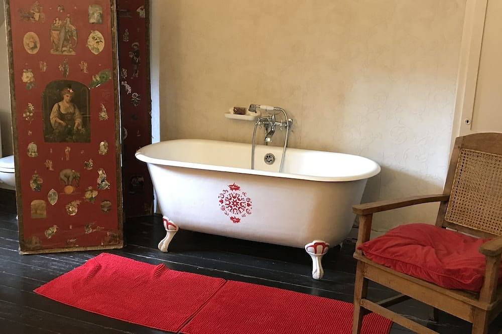 Belle et grande Demeure Xv ème avec Piscine au cœur des Châteaux de la Loire in Cour-Cheverny, Sologne