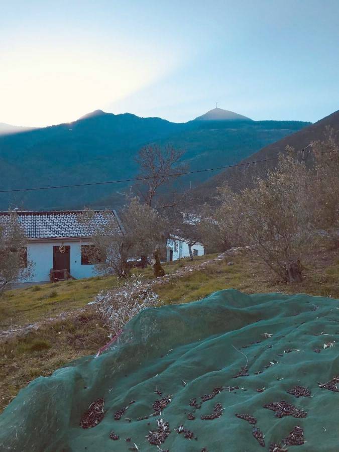 "Casa Da Russa" Mountain Experience in Serra do Marão, Vila Real (Cidade)
