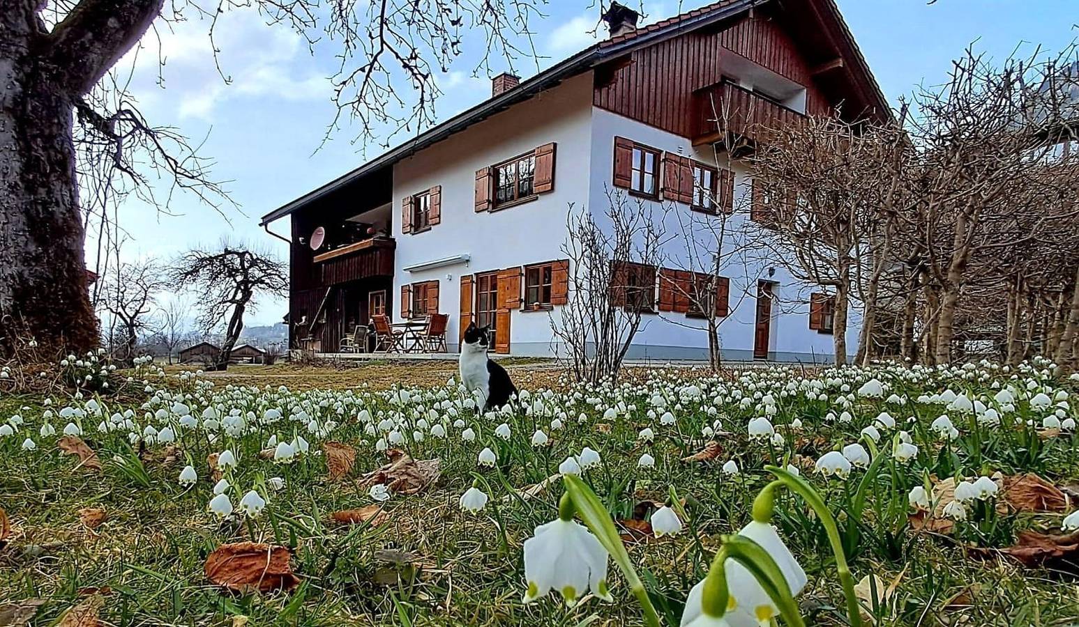 Ganze Ferienwohnung, Hartmann´s Nescht in Bad Oberdorf, Bad Hindelang
