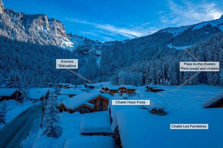 Chalet voor 9 personen, met whirlpool en tuin, met huisdier in Avoriaz