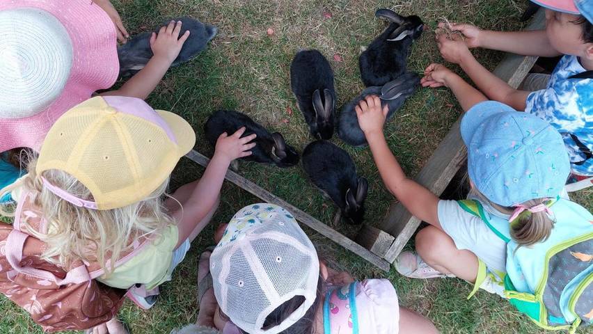 Camping pour 3 personnes, avec vue, animaux acceptés dans le Gers - 2