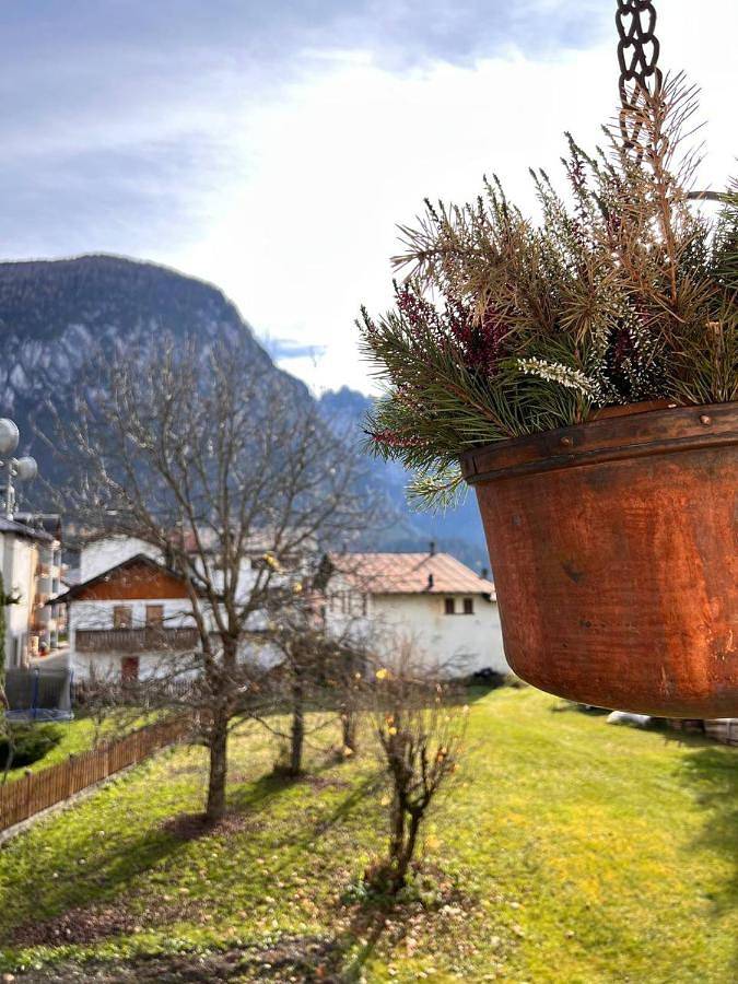 Gîte pour 3 personnes, avec jardin et vue à Santo Stefano di Cadore - 3