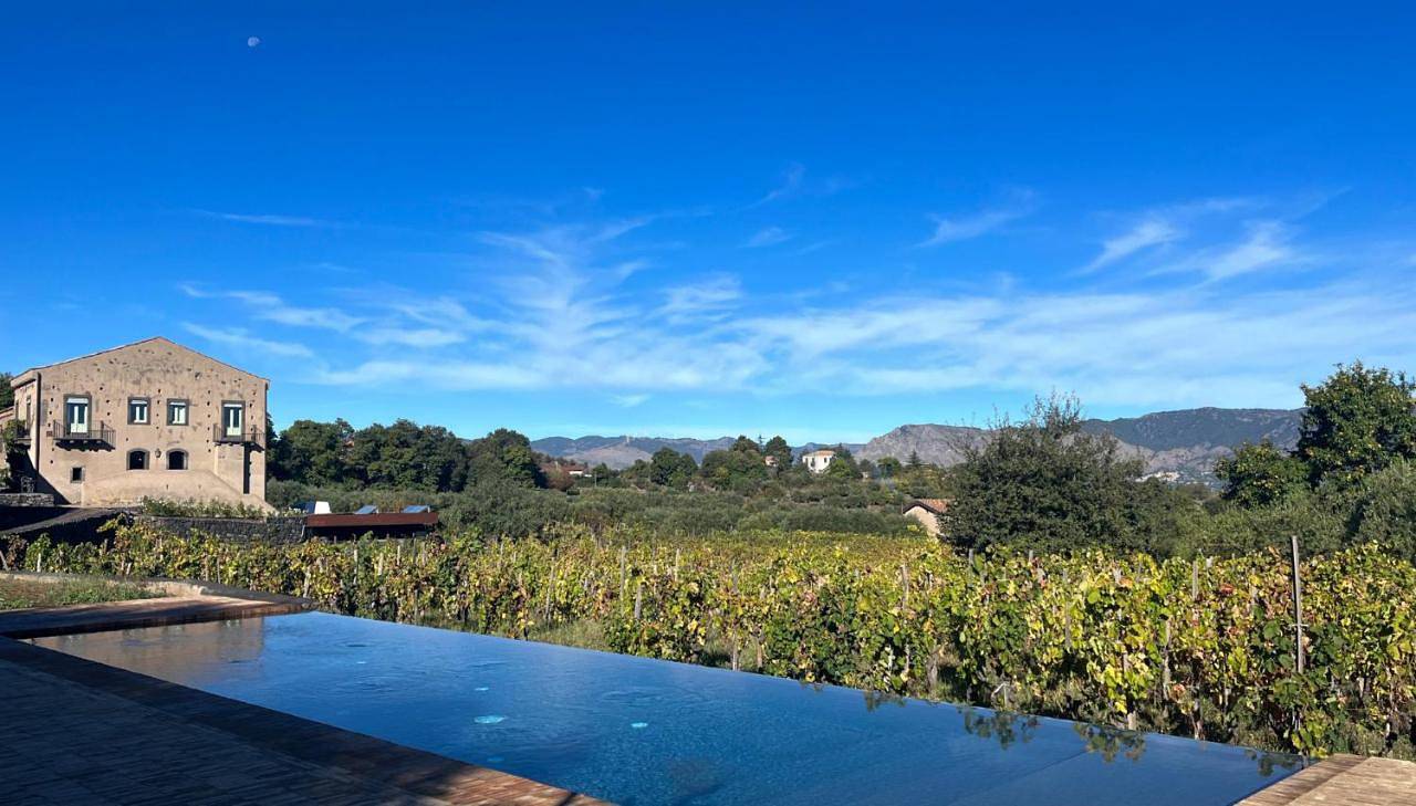 Tenuta di Fessina in Castiglione di Sicilia, Etna