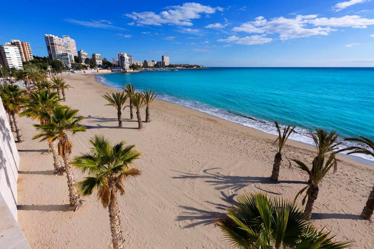 Single Room in Vistahermosa (Alicante), Alicante