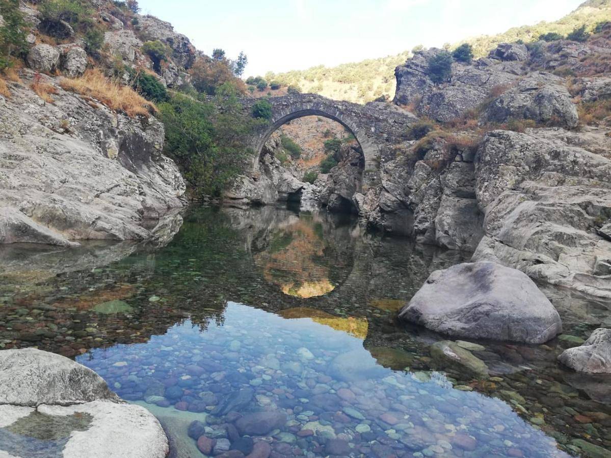 Résidence E Cime Asco Locations de studios meublés in Asco (homonymie), Parc naturel régional de Corse