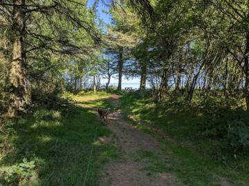 Strandhaus für 4 Personen in Ulfborg, Westjütland, Bild 1