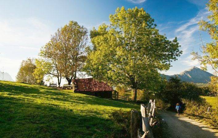 Casa rural para 3 personas, con terraza y vistas en Parque Natural de Ponga - 4