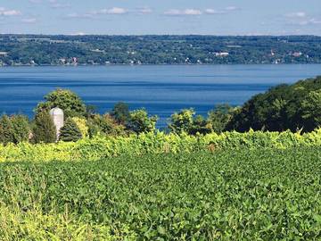Log Cabin for 6 Guests in Cayuga Lake, Seneca County, Picture 1