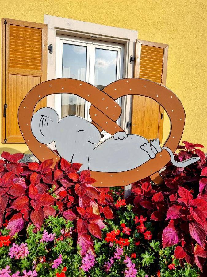 Appartement entier, One-Bedroom Apartment in Gresswiller, Bas-Rhin Alsace