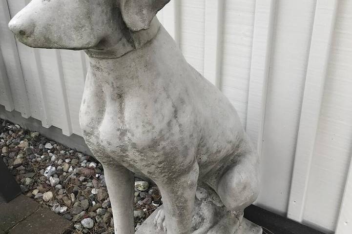 Ferienhaus für 4 Personen, mit Garten, mit Haustier auf Fischland - Darß - Zingst - 4