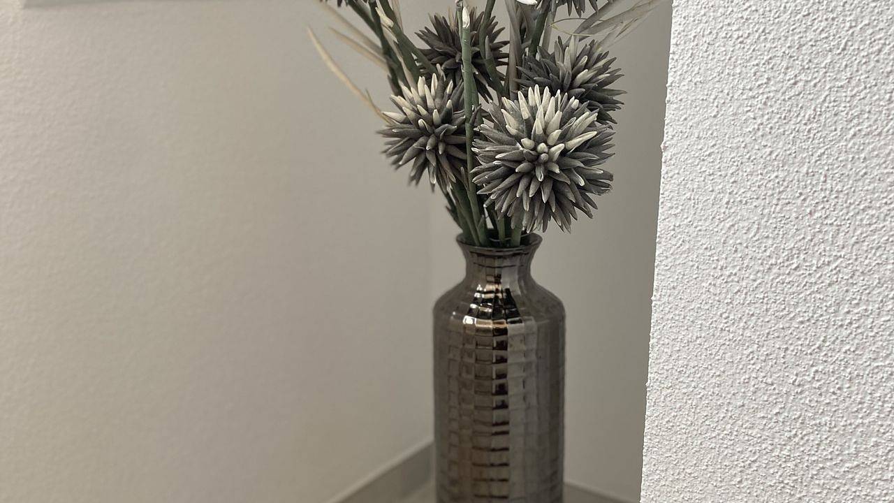 Ganze Wohnung, Appartement für 4 Personen (65 m²) in Immenstaad am Bodensee in Immenstaad am Bodensee, Region Bodensee-Oberschwaben