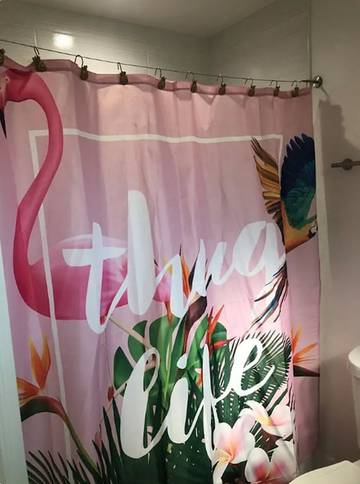 Vacation House for 4 Guests in Austin (TX), Travis County, Picture 1