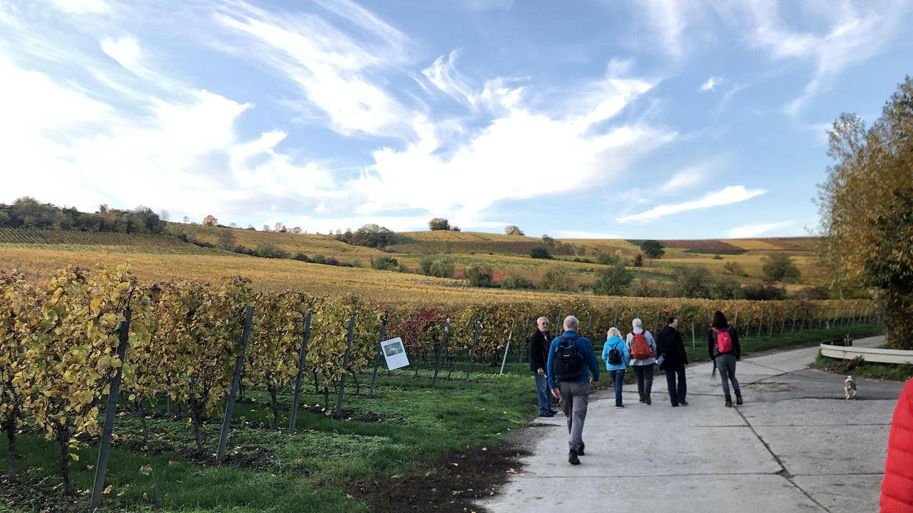 Ganze Ferienwohnung, Ferienwohnung für 4 Personen (55 m²) in Oppenheim in Oppenheim, Rheinhessen