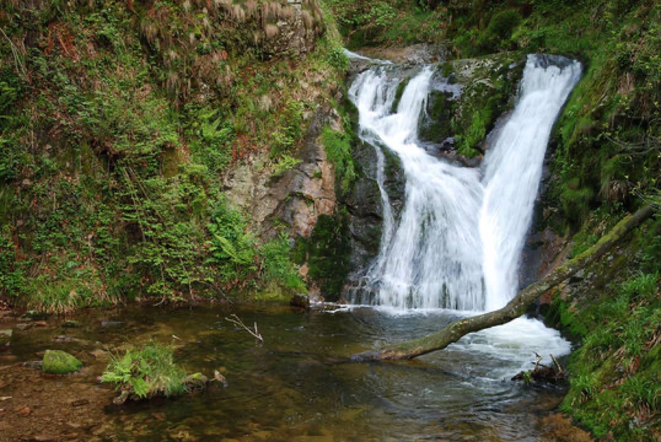 Ganze Wohnung, Ferienwohnung Huber" mit Balkon und Wi-Fi in Oppenau, Mittlerer Schwarzwald