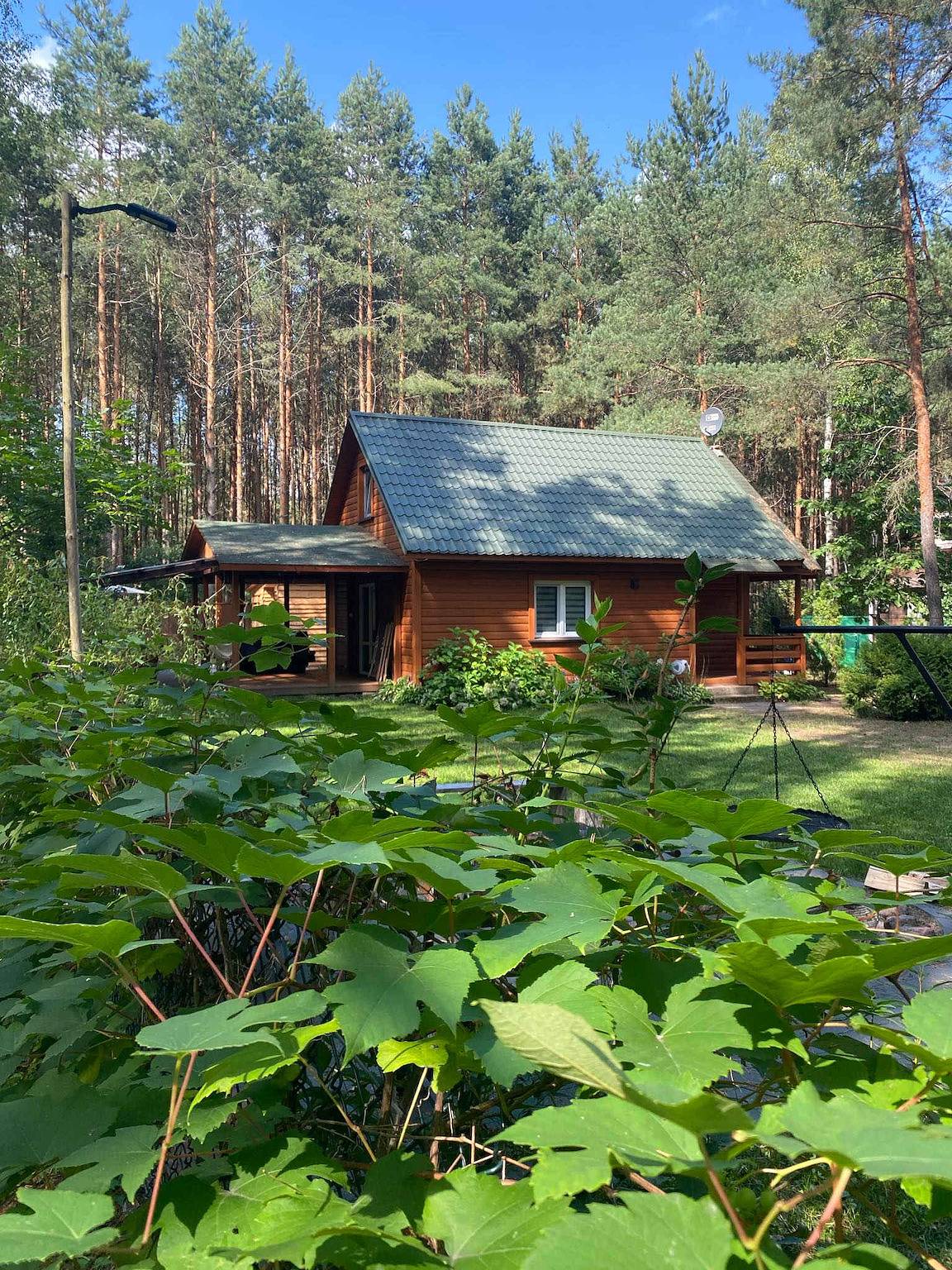 Chata przy Lesie - Large Home with Sauna & Hot Tub in Białowieża-Nationalpark
