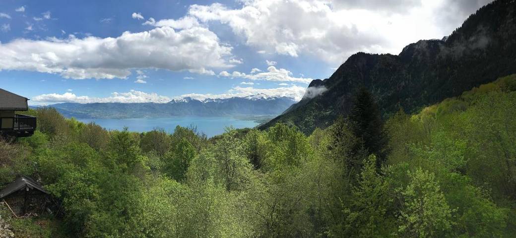 Chalet pour 2 personnes, avec jardin ainsi que vue sur le lac et piscine à Thollon-les-Mémises - 2