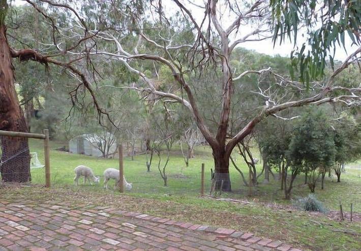 Villa pour 5 personnes, avec terrasse et piscine dans Victoria