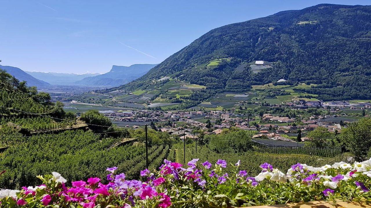 Ferienhaus für 6 Personen (80 m²) in Algund in Algund, Texelgruppe