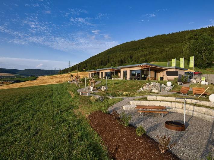 Ferienhaus für 5 Personen, mit Sauna und Garten sowie Terrasse in Geisingen