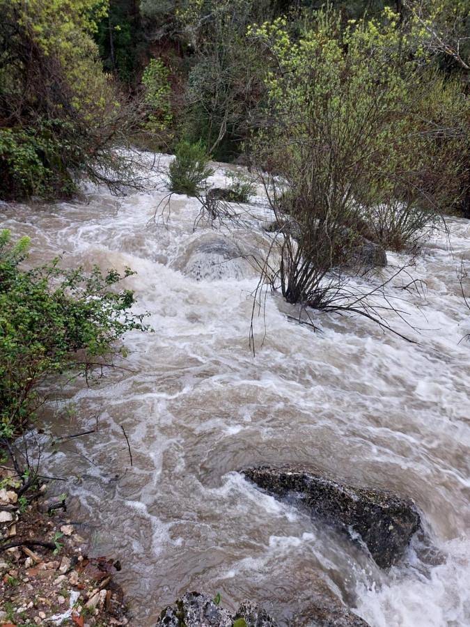 Casa rural para 7 personas, con vistas y terraza, Se admiten mascotas en Cazorla - 4
