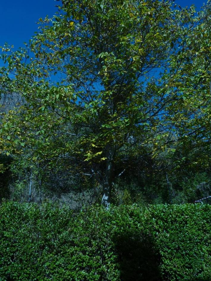 Gîte pour 5 personnes, avec balcon et vue à Castejón de Sos - 2