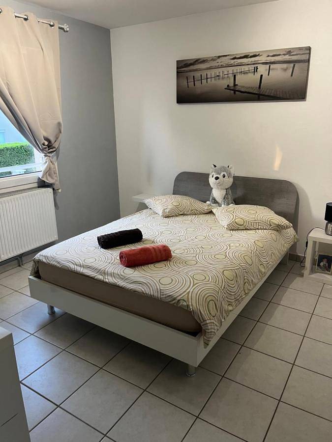 Location de vacances pour 4 personnes, avec vue ainsi que terrasse et jardin à Andrézieux-Bouthéon - 3