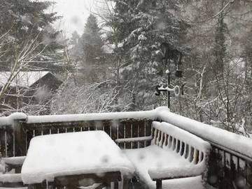 Ferienwohnung für 4 Personen, mit Haustier im Odenwald