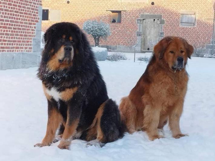 Chambre d’hôte pour 2 personnes, avec jardin et vue dans Parc naturel régional de l'Avesnois - 4