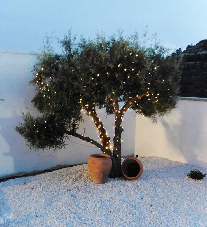 Location de vacances pour 22 personnes, avec vue ainsi que jardin et piscine à Busot - 4