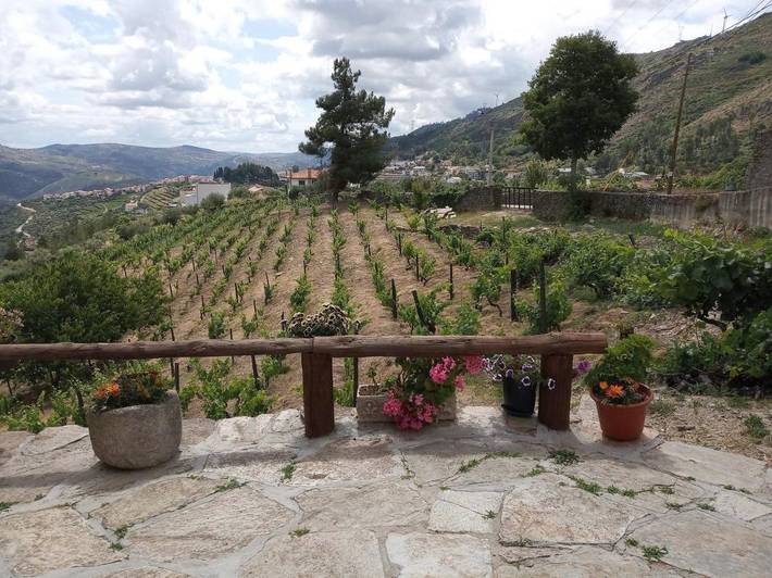 Location de vacances pour 4 personnes, avec vue et jardin, animaux acceptés dans Tabuaço