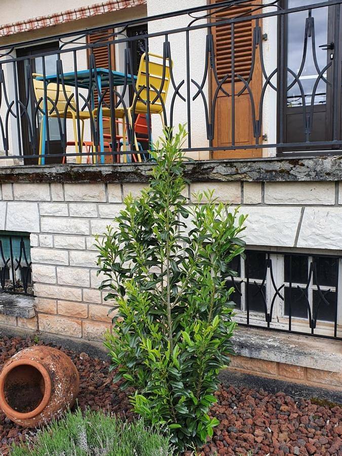 Chambre d’hôte pour 2 personnes, avec vue et jardin dans Conques-en-Rouergue - 3