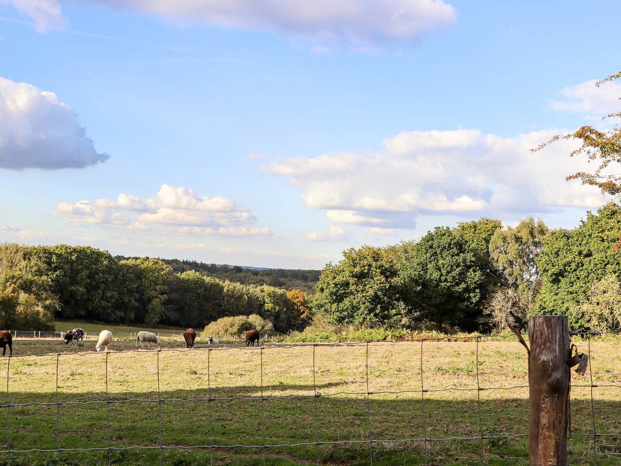 Casa rural para 2 personas con jardín in Battle, Sussex Oriental