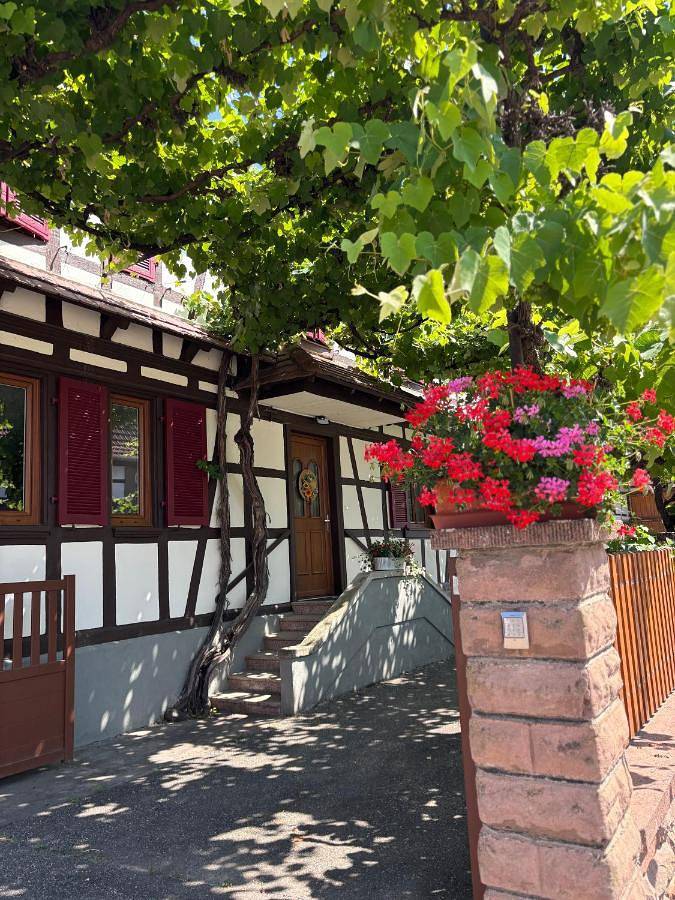 Location de vacances pour 6 personnes, adapté aux familles à Westhouse