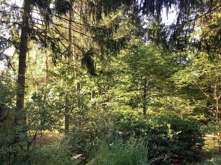 Ferienhaus für 4 Personen, mit Terrasse und Garten sowie Ausblick in Landkreis Uelzen - 3