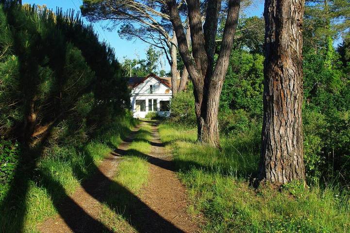 Gîte pour 15 personnes, avec jardin, animaux acceptés à Lacanau