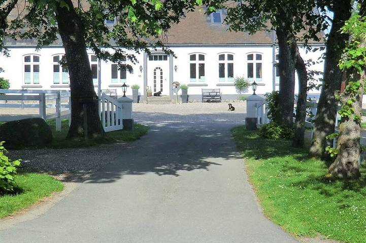 Weiße Möwe Schmeling - Ferienhof Schmeling in Ahneby, Schleswig-Flensburg