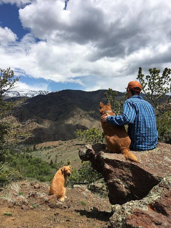 Gemütliche Hütte am Creek 30 Meilen vom östlichen Eingang von Yellowstone in Cody (WY), Absaroka Range