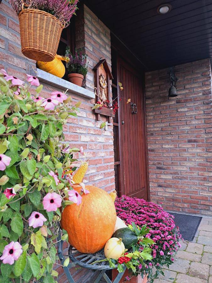 Location de vacances pour 5 personnes, avec vue et jardin dans Champlon - 4