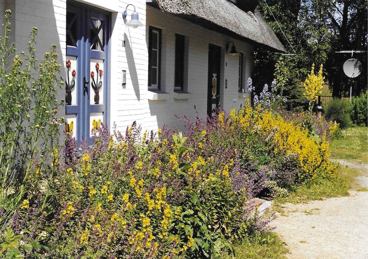 Ganze Ferienwohnung, Achtern Diek Haus 8 Wohnung 3 in Müggenburg, Zingst