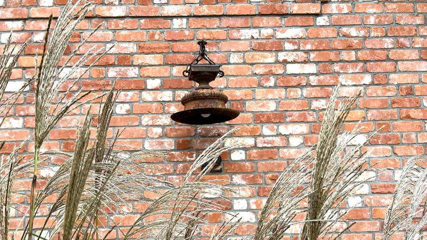 Ferienhaus für 6 Personen, mit Garten und Sauna sowie Terrasse auf Eiderstedt - 3