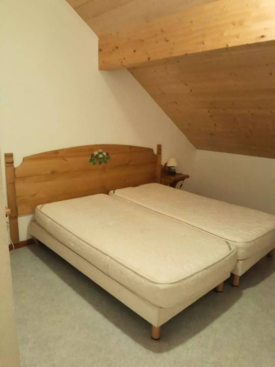 Ganze Wohnung, Ferienwohnung 9 Personen, Aussicht Aiguille d'Arves in Saint-Jean-d'Arves, Region Saint-Jean-de-Maurienne