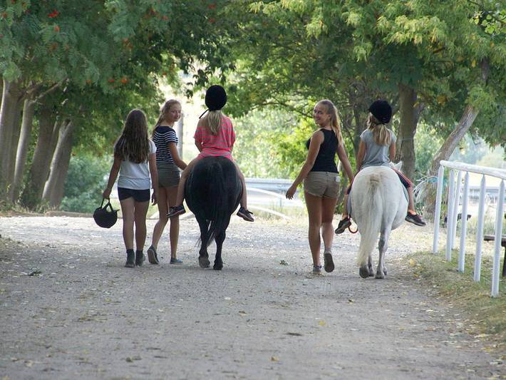 Bauernhof für 4 Personen, mit Garten, mit Haustier in Ostthüringen - 3
