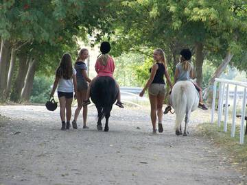 Bauernhof für 4 Personen in Meura, Thüringer Wald, Bild 2
